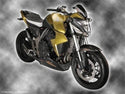 Fits Honda CB600 Hornet  07-2013  Belly Pan Black-Silver Powerbronze.