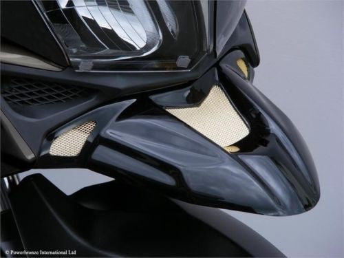 Suzuki DL650 V-Strom  2004>July 2011 Gloss Black-Silver Mesh ABS Beak by Powerbronze